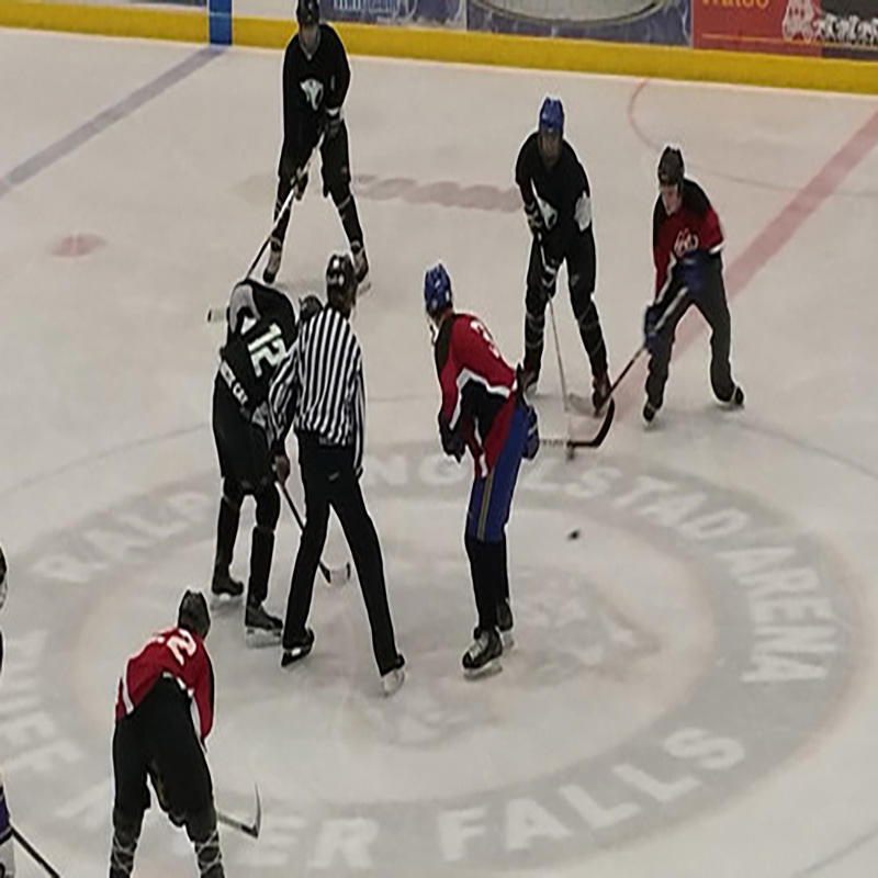 น้ำแข็งคอมโพสิตหล่อลื่นตัวเอง Uhmwpe สำหรับลานฮอกกี้