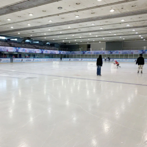 แผงลานสเก็ตน้ำแข็งสังเคราะห์